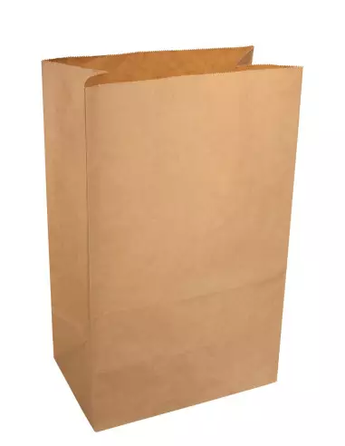Sacs de courses en papier 26 + 16 x 42 cm